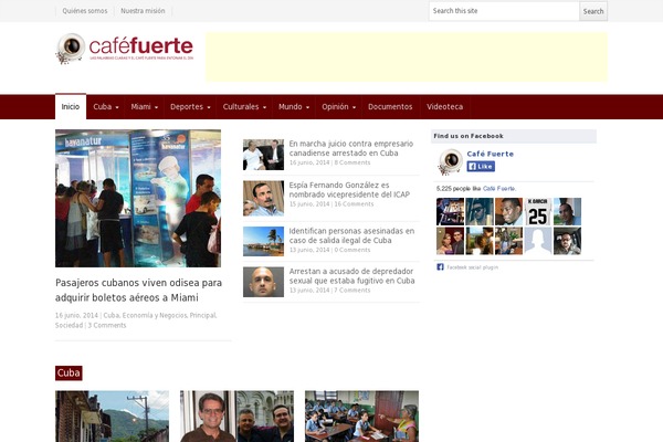Site using Sneeit-framework plugin