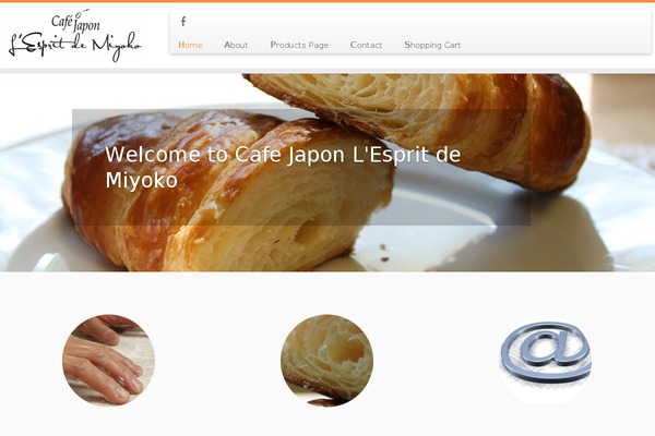 Customizr theme site design template sample