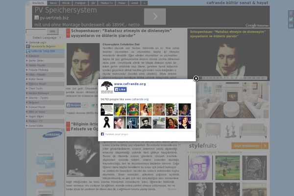 Site using Td-newsletter plugin