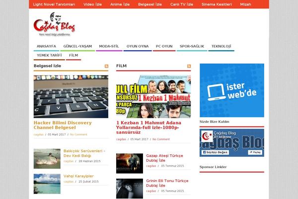 MesoColumn theme site design template sample