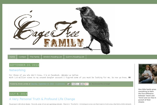 Magnificent theme site design template sample