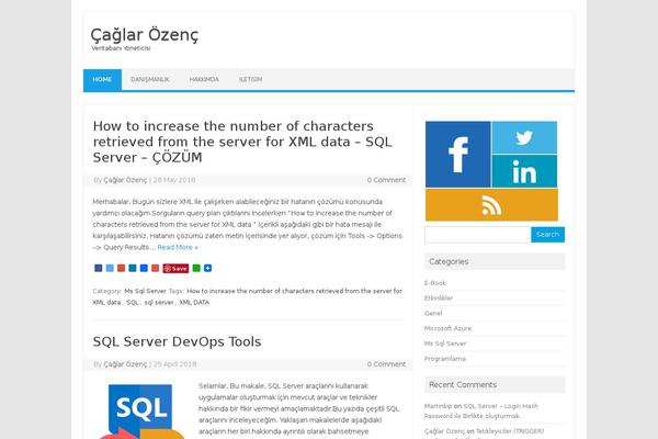 Site using Metro-style-social-widget plugin