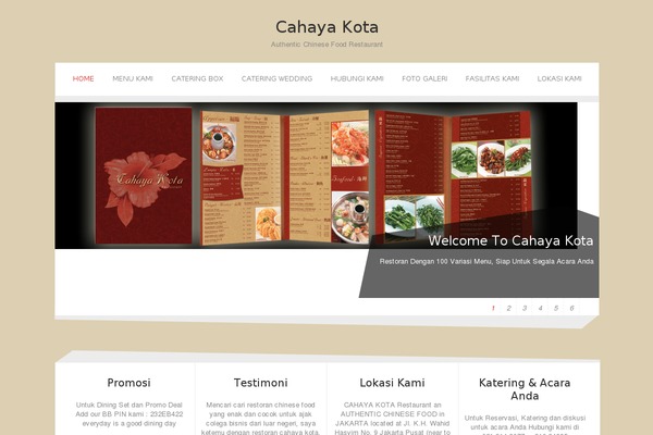 Zenon Lite theme site design template sample