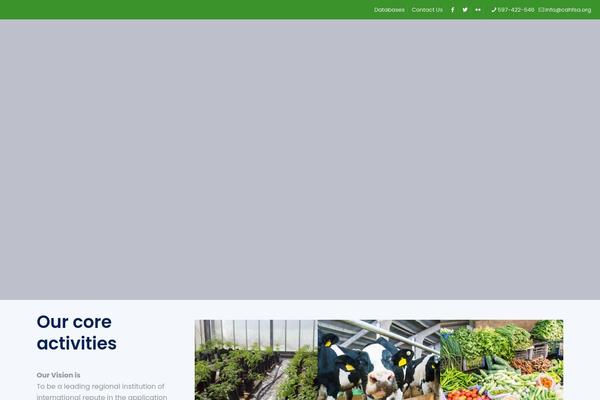 BeTheme Child theme site design template sample