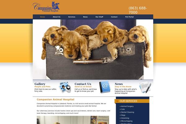 cahospital.com site used Cah