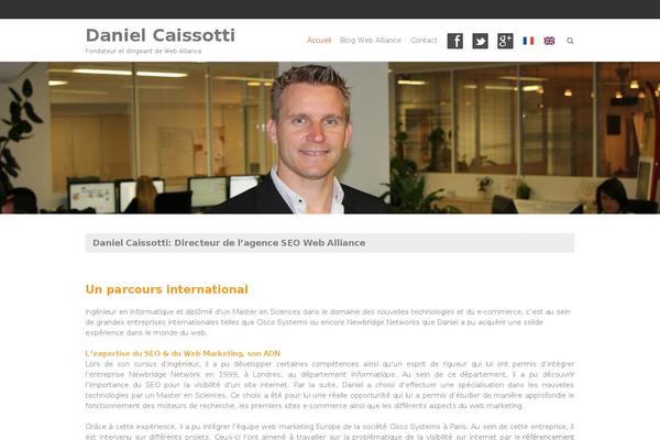 THBusiness theme site design template sample
