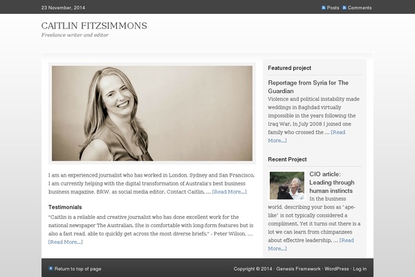 Freelance theme site design template sample