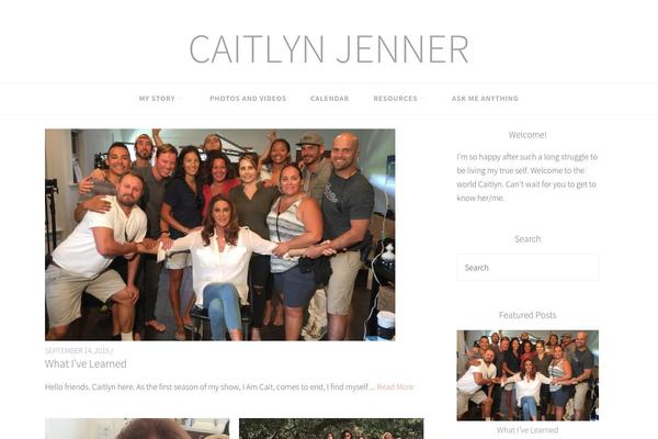 Famous theme websites examples