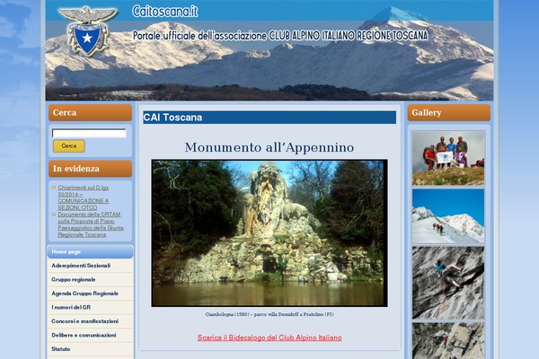 Site using AE Visitor plugin