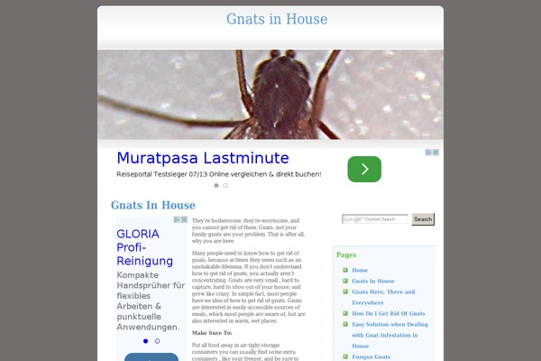 cajei.net site used Hidden