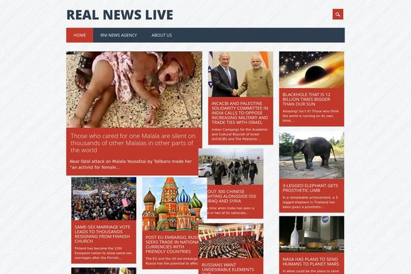 Surfarama theme site design template sample