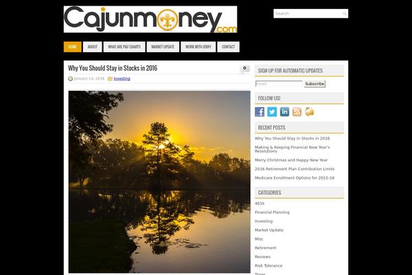 Clieco theme websites examples
