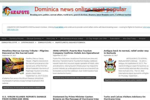 MH Newsdesk theme site design template sample