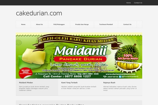 Pitch theme site design template sample