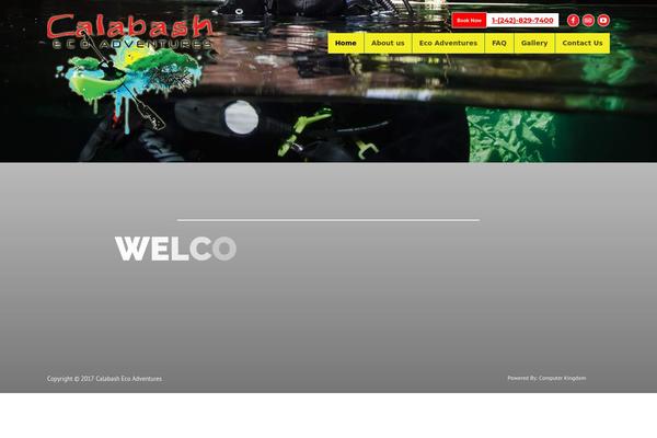 Site using Responsive Full Width Background Slider plugin