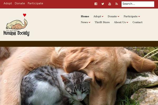 Site using WP Custom Fields Search plugin