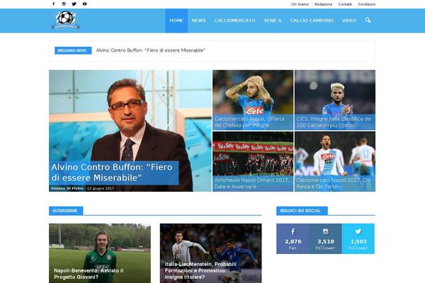 Site using WP Social Widget plugin