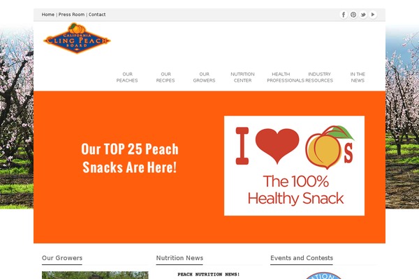 Topaz theme site design template sample