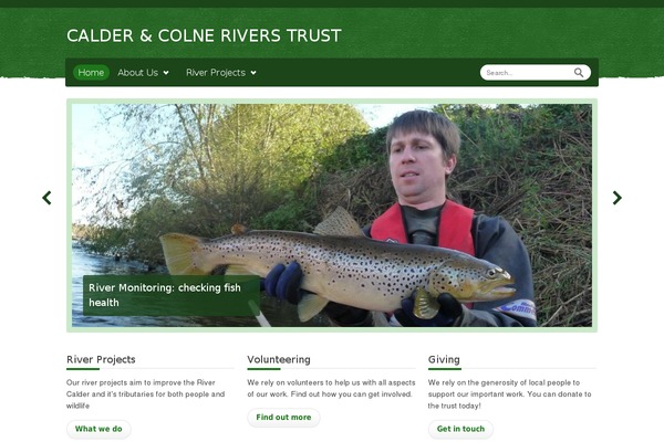Relief theme site design template sample