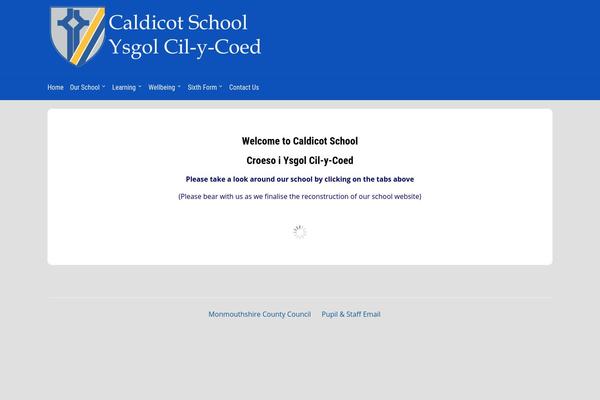 Academica theme site design template sample