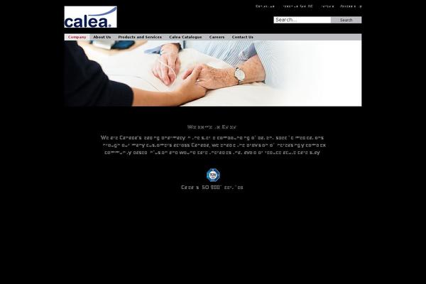 Site using Search Everything plugin