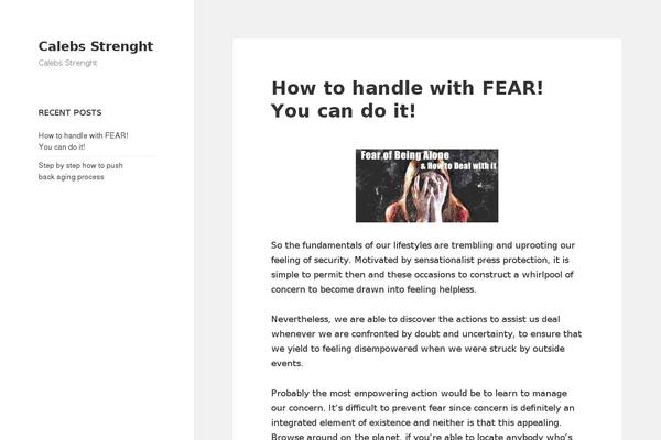 Facade theme websites examples