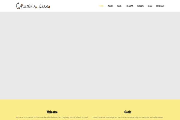 Rebound theme site design template sample
