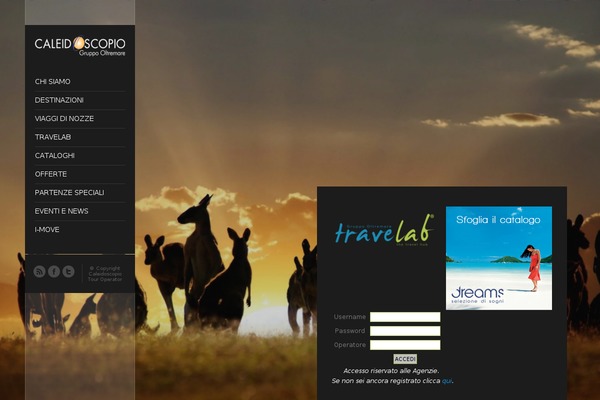 Flashlight theme site design template sample