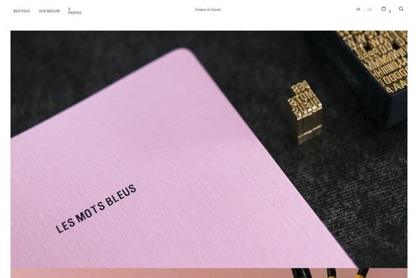 Site using Automatewoo plugin