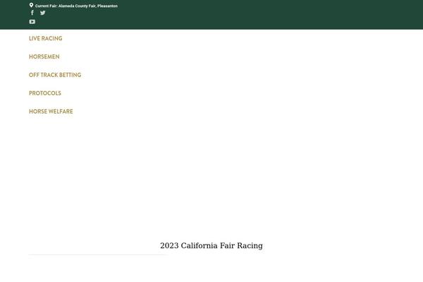The7 Child theme site design template sample