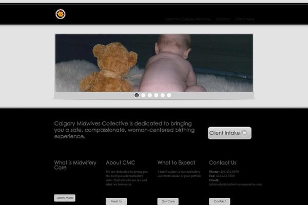 Apollo theme site design template sample