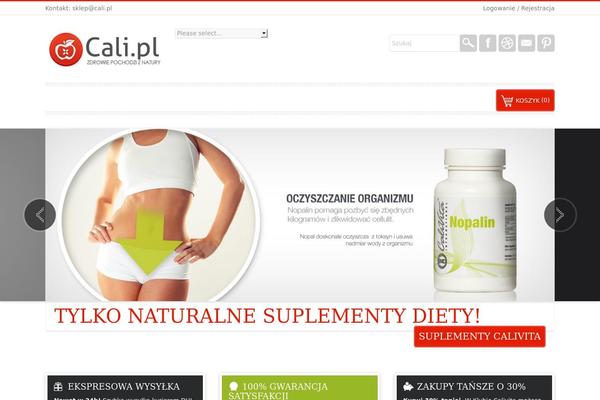 Camy theme site design template sample