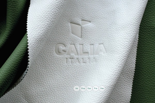 calia theme websites examples