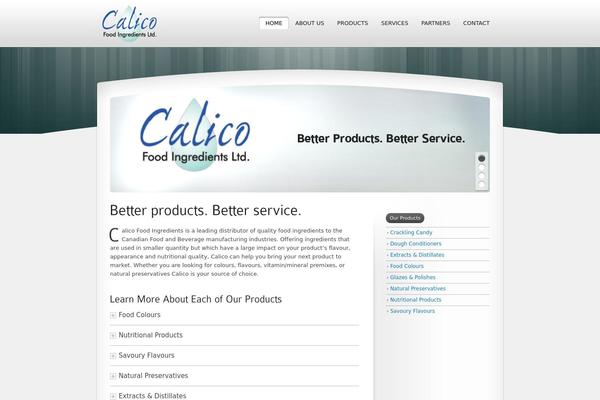 NewOffer theme site design template sample