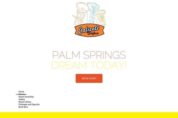 Site using BirdEye plugin