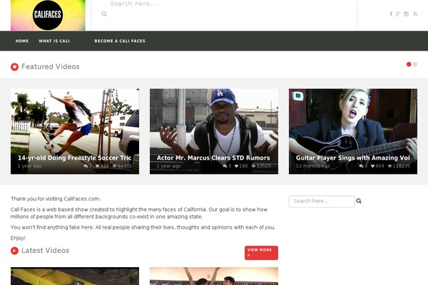 VideoTube theme site design template sample