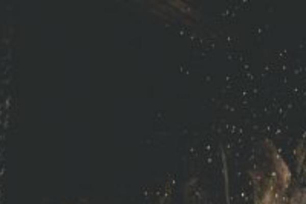 Twenty Sixteen theme site design template sample