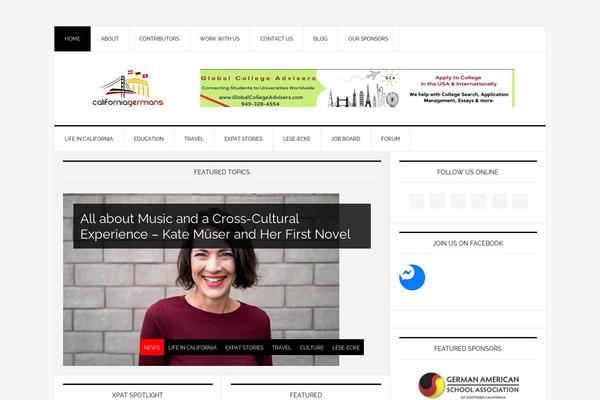 News Pro theme site design template sample