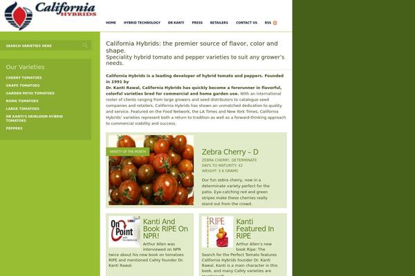 Folio theme site design template sample