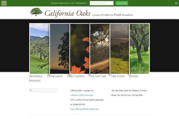 Site using Content Cards plugin