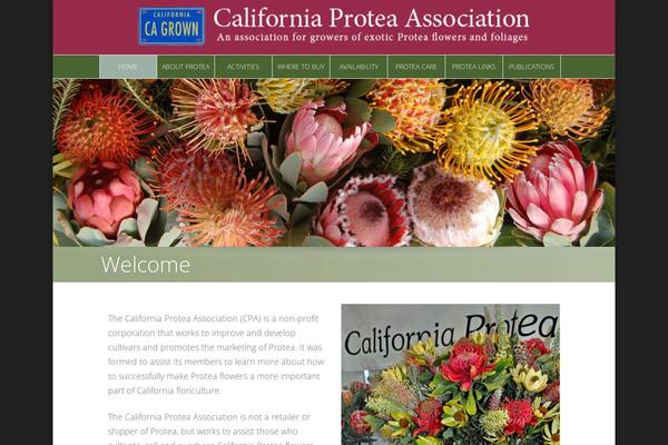 Site using Responsive-subheader plugin
