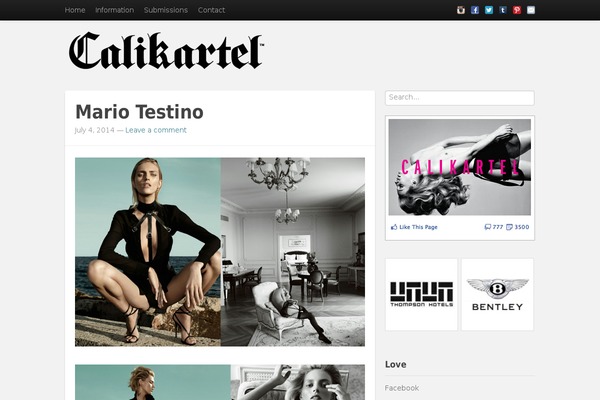 Standard theme site design template sample