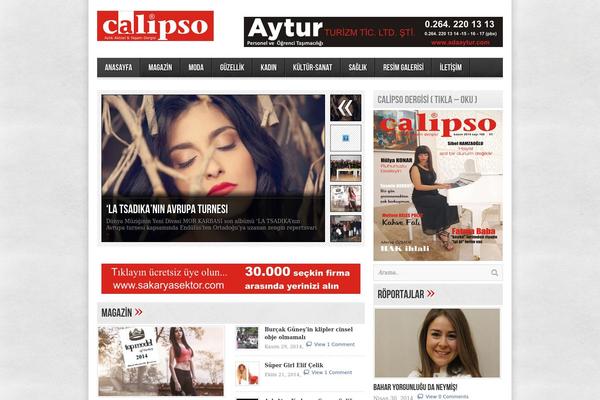 avenue theme site design template sample