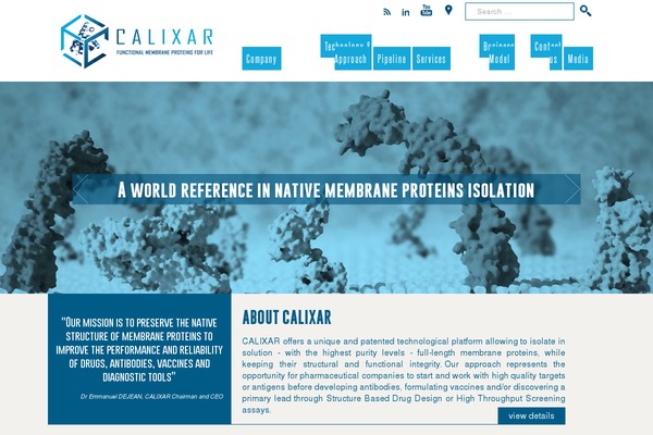 Custom theme site design template sample