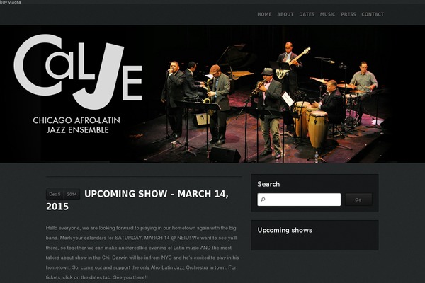 Music theme site design template sample