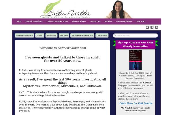 Get Noticed theme site design template sample