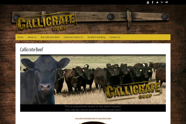 Tempera theme site design template sample