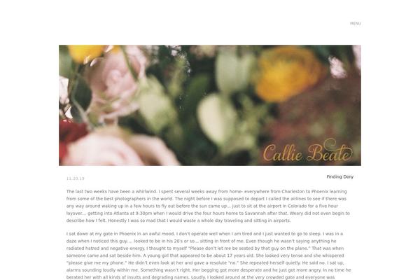 ProPhoto 5 theme site design template sample