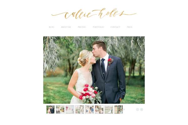 Prophoto4 theme site design template sample