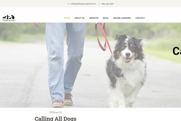 Tails theme site design template sample